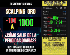 GESTION19-12