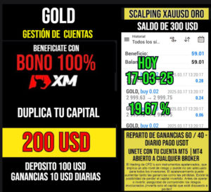 gestion17-3-25