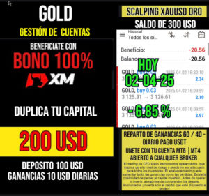 gestion2-4-25