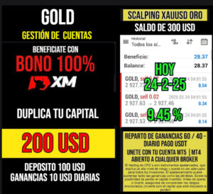 gestion24-2