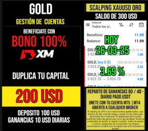 gestion26-3